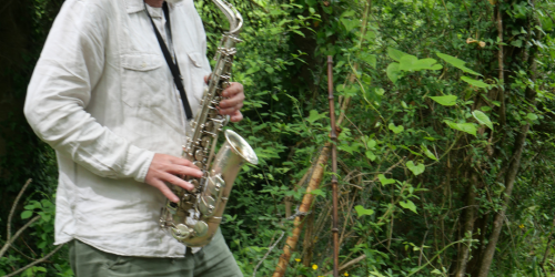 01/08 : Flânerie botanique et musicale !