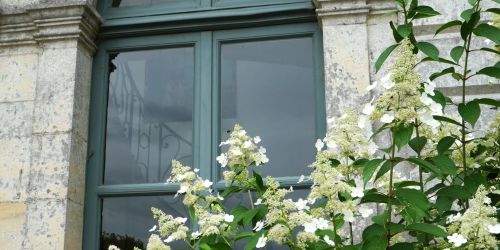 25/07 : Visite guidée des jardins du château du Jonquet