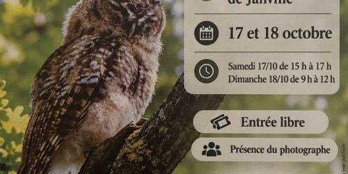 17 et 18/10 : Expo Photo : Partez à la découverte des animaux de notre région ! 🦉🌿